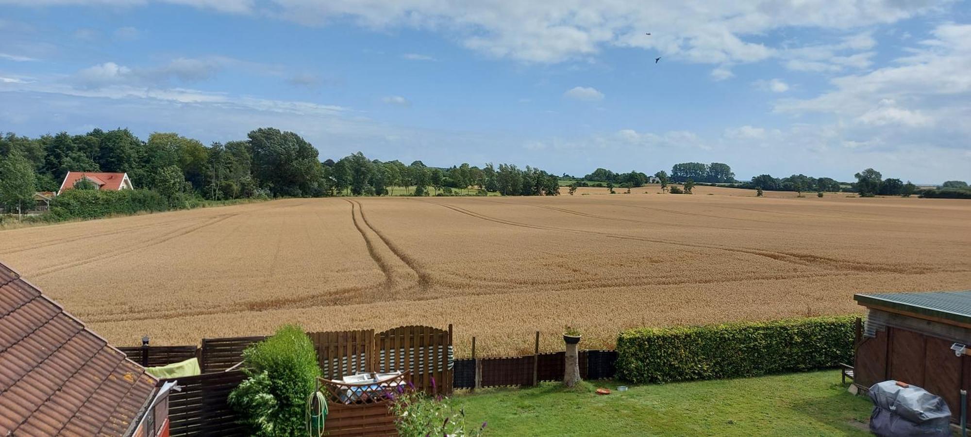 Ferienwohnung Stadie Dorphof Exteriör bild